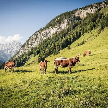 Waldblick - Freundlich Eingerichtete Apartment Berchtesgaden